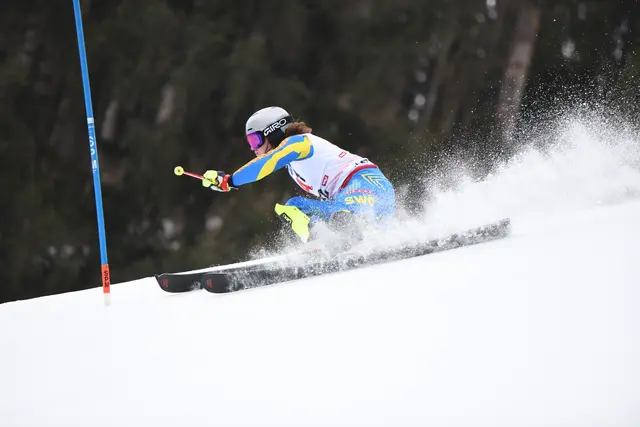 Foto: Günter Niedrist