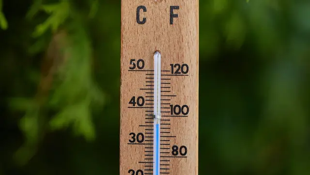 Symbolbild. | Foto: smarterpix/Gudella_1