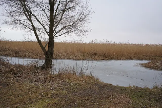 Foto: Andrea Glatzer