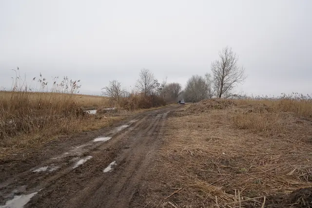 Foto: Andrea Glatzer