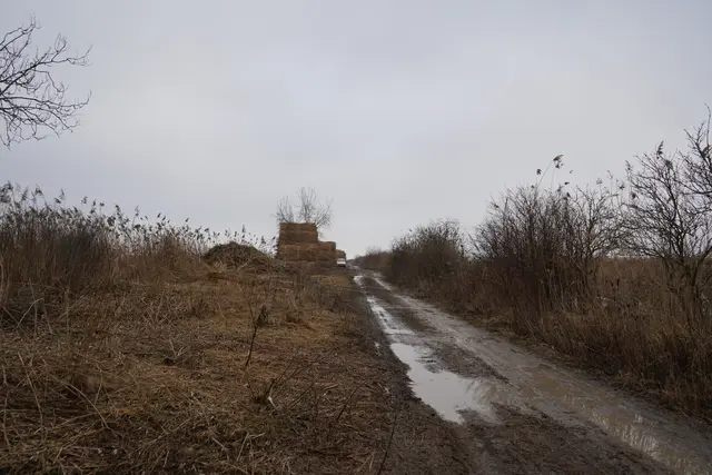 Foto: Andrea Glatzer