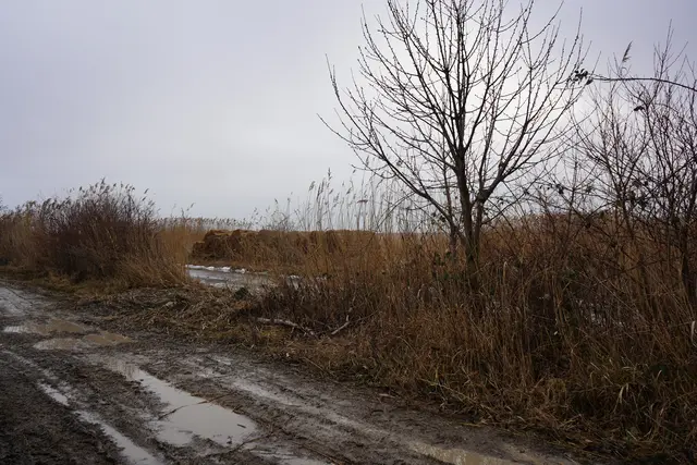 Foto: Andrea Glatzer