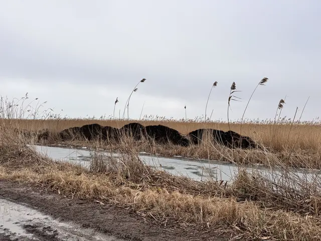 Foto: Andrea Glatzer