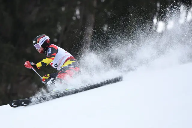 Foto: Günter Niedrist