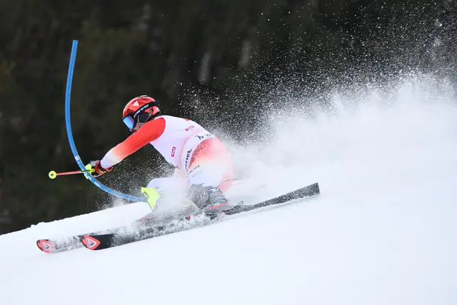 Foto: Günter Niedrist