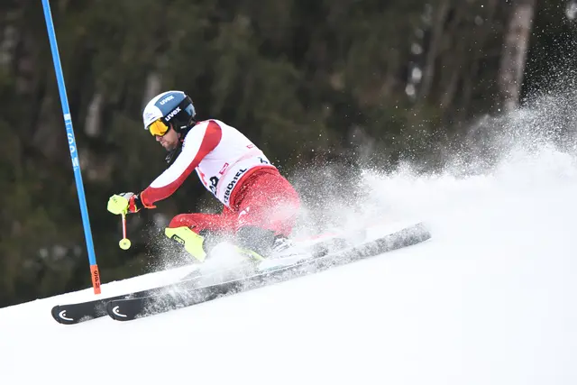 Foto: Günter Niedrist