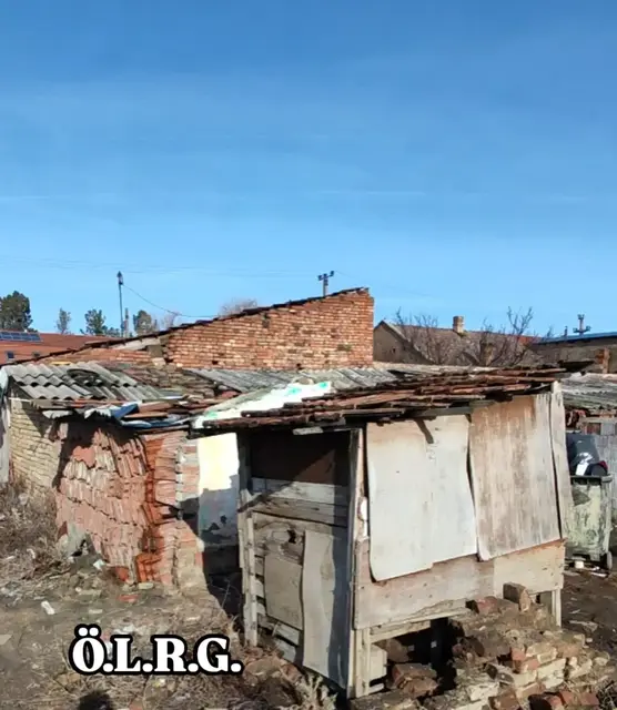 Foto: ÖLRG Bundesverband Österreich