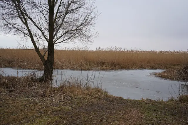 Foto: Andrea Glatzer