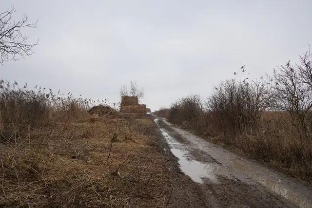 Foto: Andrea Glatzer