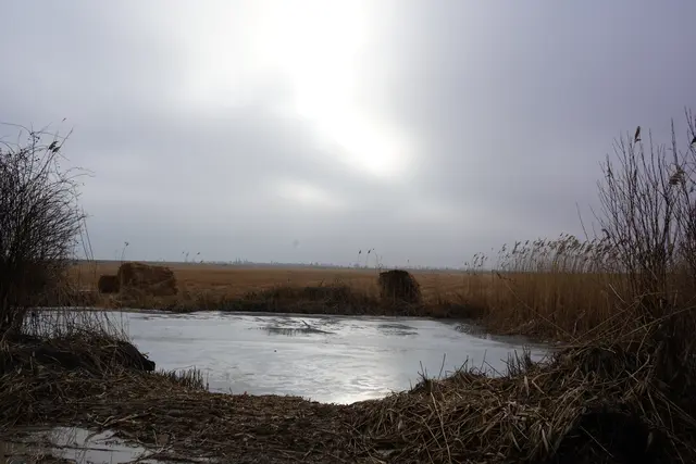 Foto: Andrea Glatzer