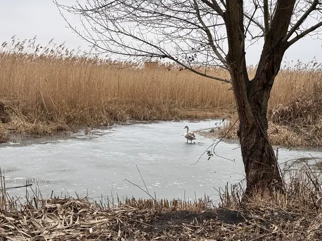 Foto: Andrea Glatzer