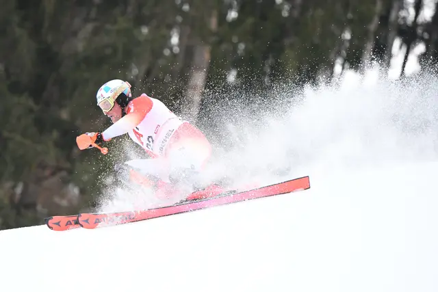 Foto: Günter Niedrist