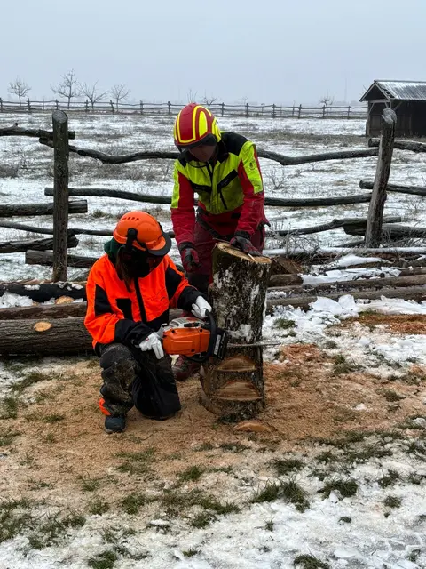 Schülerin unter Anleitung von Forstreferent Manuel Rakos bei Schnittübungen | Foto: LFS Obersiebenbrunn