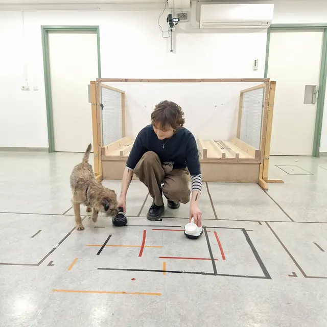 Die Hunde von Tierfreundin Renate Knorr lassen sich von den Robotern nicht beeindrucken.  | Foto: Renate Knorr