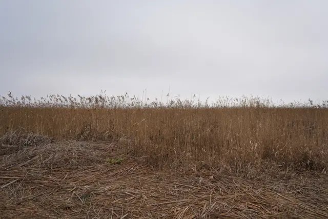 Foto: Andrea Glatzer