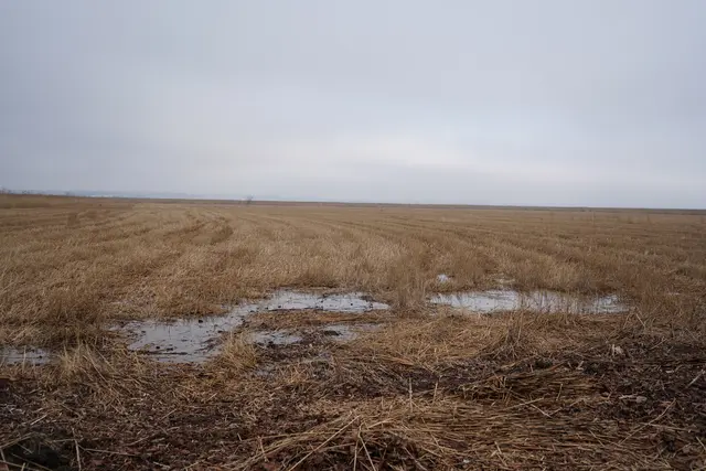 Foto: Andrea Glatzer