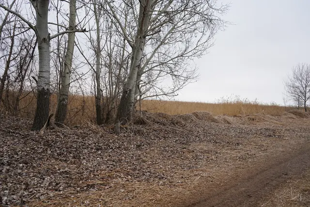 Foto: Andrea Glatzer