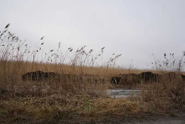 Foto: Andrea Glatzer