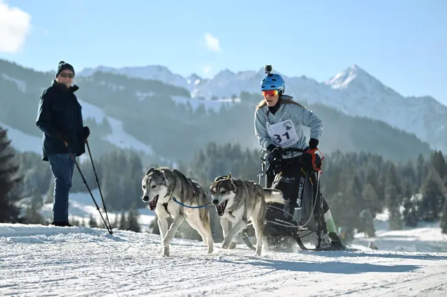 Die Grenzregion Unterjoch-Schattwald bietet für die Schlittenhunde-Rennen beste Voraussetzungen. | Foto: Bad Hindelang Tourismus/Wolfgang B. Kleiner