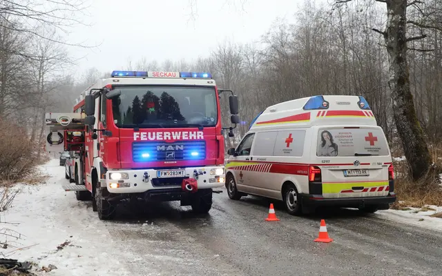 Feuerwehr und Rotes Kreuz waren im Einsatz. | Foto: FF/Zeiler