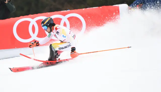 Foto: Günter Niedrist