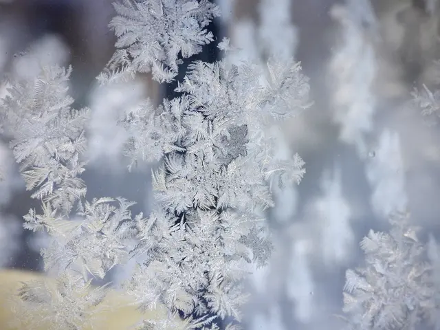 Nachts sinken die Temperaturen in der Steiermark noch unter den Gefrierpunkt.  | Foto: Edith Schöngrundner