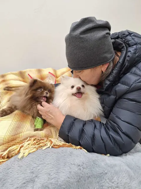 Ein Küsschen für die verletzten beiden Hunde. | Foto: privat