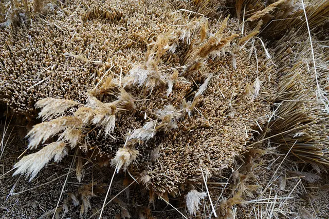 Foto: Andrea Glatzer