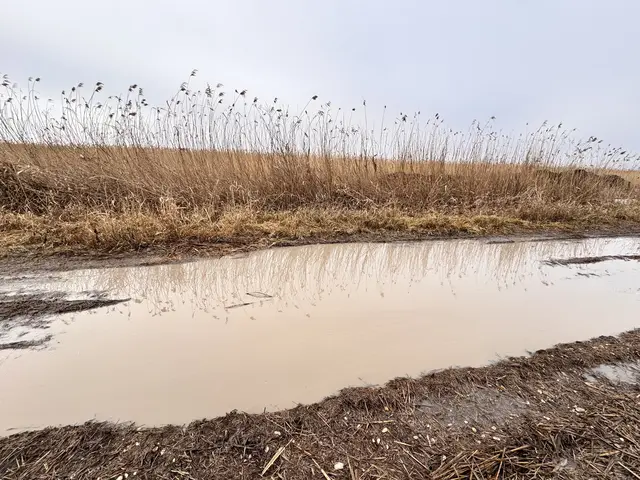 Foto: Andrea Glatzer