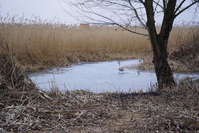 Foto: Andrea Glatzer