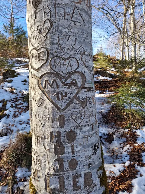 Liebesbezeugungen💗