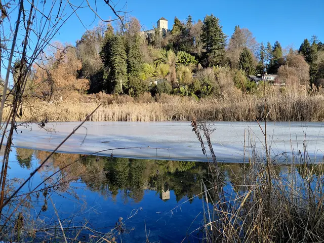 St. Peter Weiher mit Blick auf die Richterhöhe  | Foto: H.Bachinger