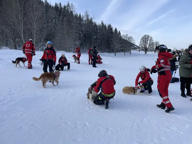 Ziel des Trainings ist es, im Ernstfall ein reibungsloses Zusammenspiel aller Beteiligten zu gewährleisten.  | Foto: Johannes Brandner