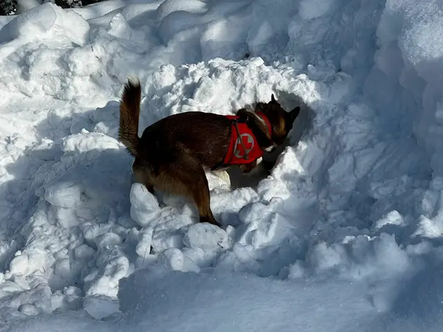 Foto: Rotes Kreuz Salzburg