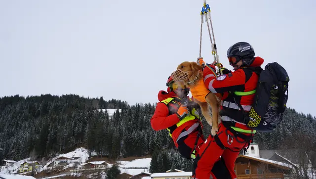 Die Hunde werden an die Arbeit mit dem Hubschrauber gewöhnt. Mensch und Hund trainieren dabei als eingespieltes Team unter realitätsnahen Bedingungen. | Foto: Johannes Brandner