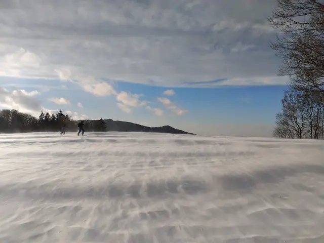 Skitour auf der Freithöh in Purgstall an der Erlauf | Foto: Andreas Spitzer