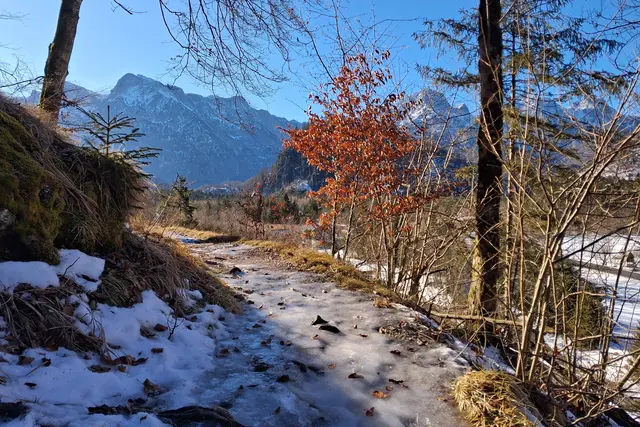 ...nach ca. 2km im Schatten freuten wir uns schon
 auf den sonnigen Blick in die Bergwelt des TOTEN GEBIRGES.