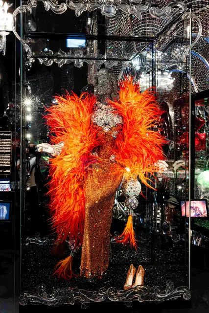 Das Performance-Kleid, das die Burlesque-Performerin Dita von Teese bei Shows im Jahr 2007 getragen hat.

 | Foto: Swarovski Kristallwelten