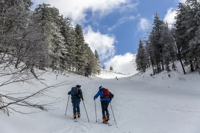 Perfekter "Winter-Genuss" in den Mostviertler Bergen | Foto: Mostviertel Tourismus
