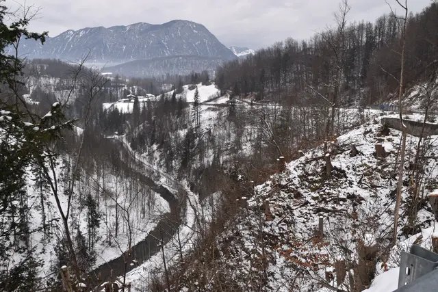 Viele angeschlagene Bäume im Gefährdungsbereich der Eibergstraße wurden kürzlich entfernt. Sie waren aufgrund von Hagel im Jahr 2024 beschädigt worden.
 | Foto: Barbara Fluckinger