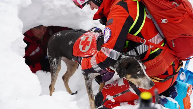 Das jährliche Lawinentraining in Filzmoos stellt einen besonderen Höhepunkt im Ausbildungsjahr dar und ist auch ein entscheidender Beitrag zur Sicherheit im alpinen Raum.  | Foto: Johannes Brandner