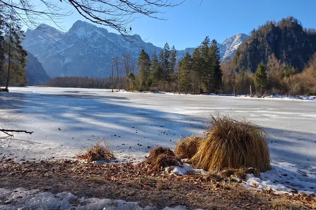 ...re. Hand befindet sich der Ameisenstein.