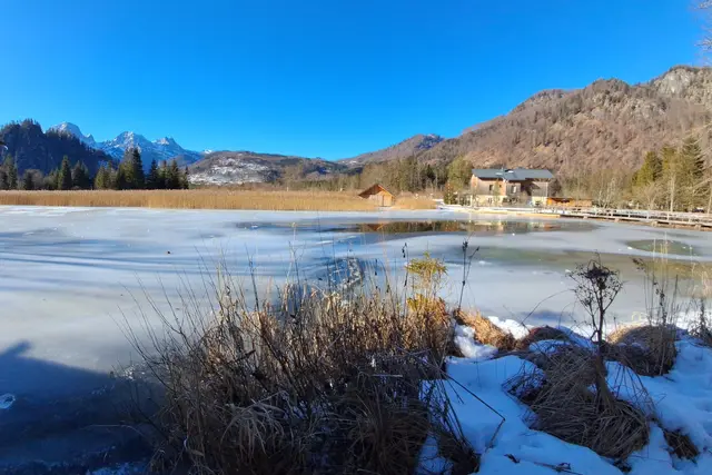 ...der sehr eisige Weg geht jetzt weiter um den ganzen
Almsee.