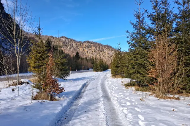 ....ein Stück des Weges geht man neben der Straße.