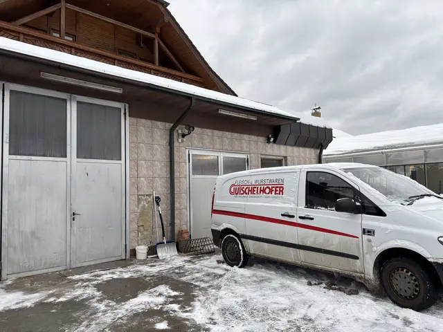 Mit diesem Lieferwagen hilft Johann Fraiß dem neuen Fleischermeister aus, Bestellungen auszuliefern.  | Foto: MeinBezirk/Angelina Koidl