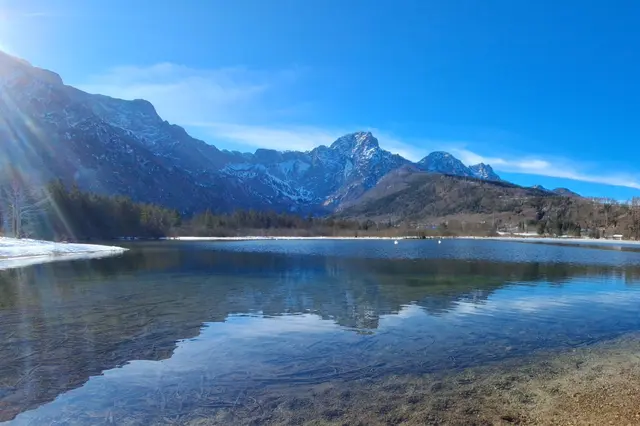 ....auch hier sind sie, die weit entfernten Schwäne.😉