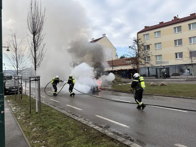 Die Mödlinger Feuerwehr rückte zur Brandbekämpfung aus. | Foto: ffmoedling.at