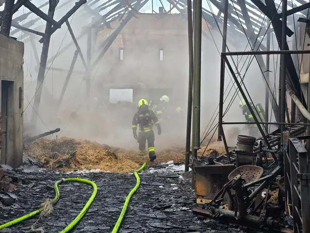 Erla | Foto: Bfkdo Amstetten/Zarl)