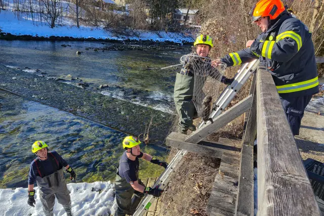 Foto: FF Bad Goisern