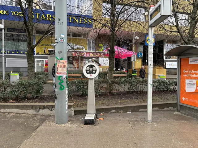 Als ob sich die Waagen tarnen würden, fallen sie erst auf, wenn man bei Spaziergängen aufmerksam ist. Diese Waage ist am Rennweg in der Landstraße. | Foto: Luca Arztmann/MeinBezirk